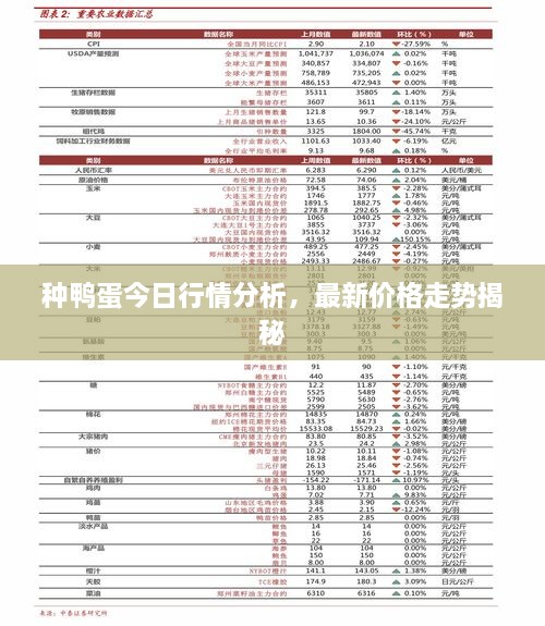 種鴨蛋今日行情分析，最新價(jià)格走勢(shì)揭秘