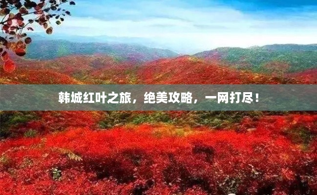 韓城紅葉之旅，絕美攻略，一網(wǎng)打盡！