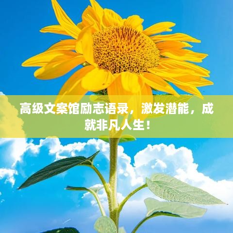 高級文案館勵志語錄，激發(fā)潛能，成就非凡人生！