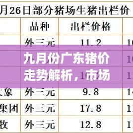 九月份廣東豬價走勢解析，市場行情、價格變動一網(wǎng)打盡