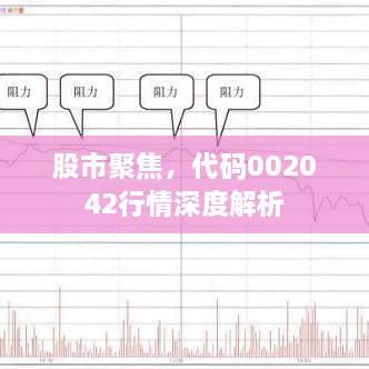 股市聚焦，代碼002042行情深度解析