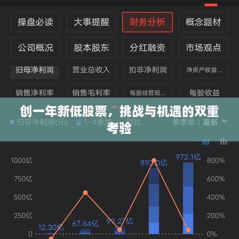 創(chuàng)一年新低股票，挑戰(zhàn)與機遇的雙重考驗