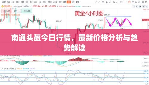 南通頭盔今日行情，最新價(jià)格分析與趨勢(shì)解讀