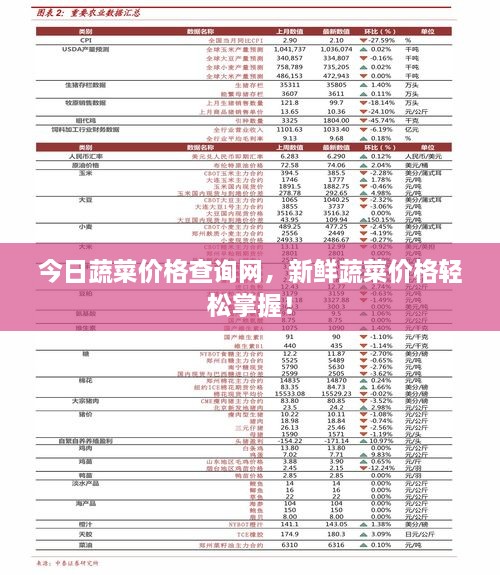 今日蔬菜價(jià)格查詢網(wǎng)，新鮮蔬菜價(jià)格輕松掌握！