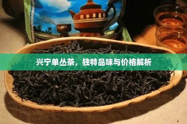 興寧單叢茶，獨(dú)特品味與價(jià)格解析