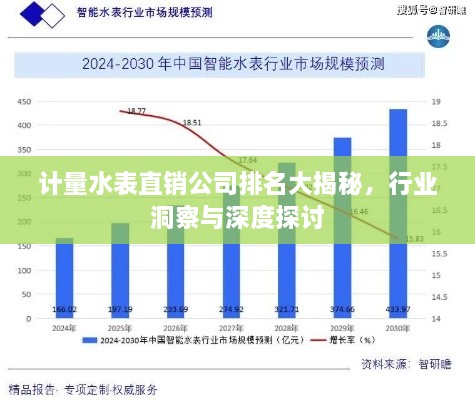 計(jì)量水表直銷(xiāo)公司排名大揭秘，行業(yè)洞察與深度探討