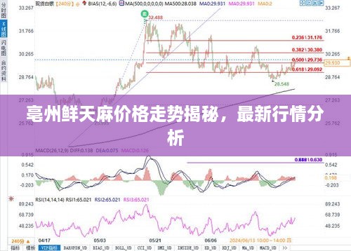 亳州鮮天麻價格走勢揭秘，最新行情分析