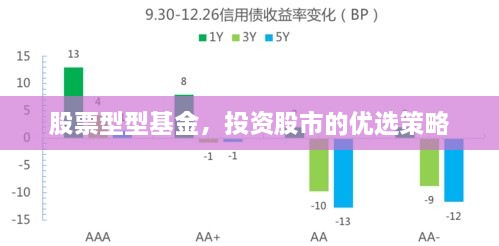 股票型型基金，投資股市的優(yōu)選策略