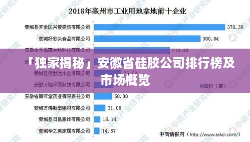 「獨(dú)家揭秘」安徽省硅膠公司排行榜及市場概覽