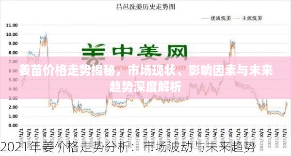 姜苗價(jià)格走勢(shì)揭秘，市場(chǎng)現(xiàn)狀、影響因素與未來趨勢(shì)深度解析