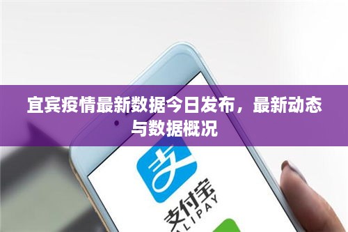 宜賓疫情最新數(shù)據(jù)今日發(fā)布，最新動態(tài)與數(shù)據(jù)概況