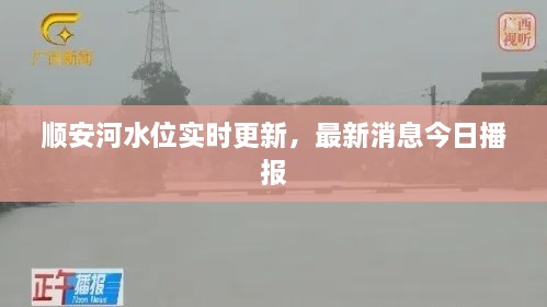 順安河水位實(shí)時(shí)更新，最新消息今日播報(bào)
