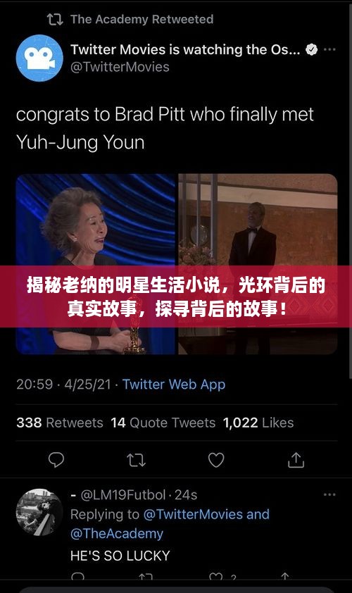 揭秘老納的明星生活小說，光環(huán)背后的真實故事，探尋背后的故事！