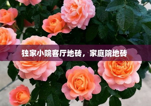 獨(dú)家小院客廳地磚，家庭院地磚 