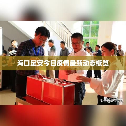 ?？诙ò步袢找咔樽钚聞討B(tài)概覽
