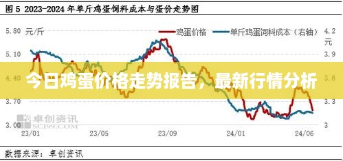 今日雞蛋價(jià)格走勢(shì)報(bào)告，最新行情分析