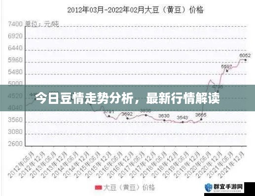 今日豆情走勢分析，最新行情解讀