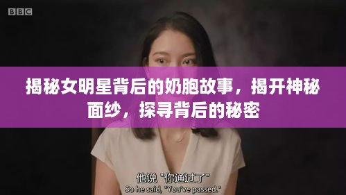 揭秘女明星背后的奶胞故事，揭開神秘面紗，探尋背后的秘密