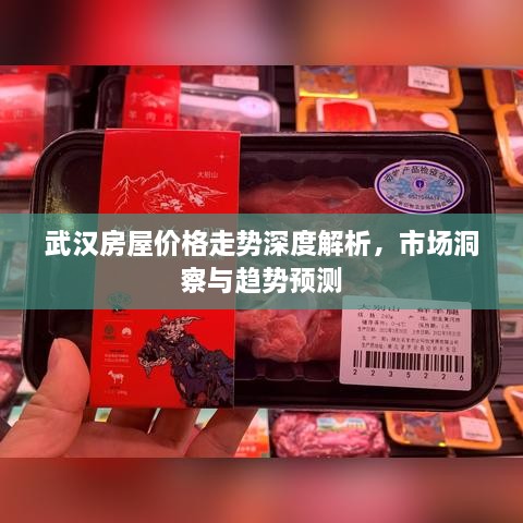 武漢房屋價格走勢深度解析，市場洞察與趨勢預(yù)測