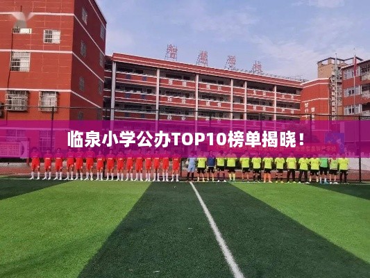 臨泉小學(xué)公辦TOP10榜單揭曉！