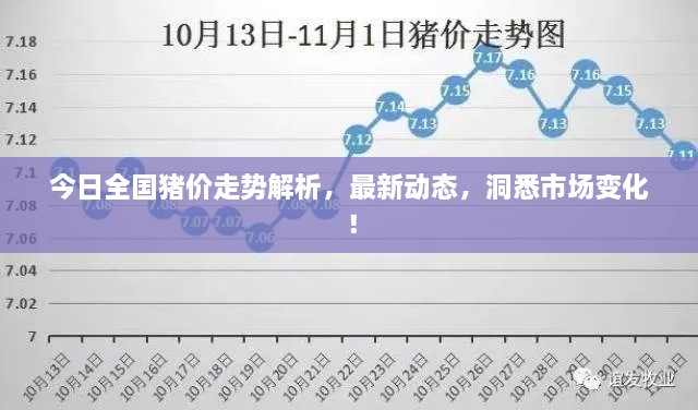 今日全國(guó)豬價(jià)走勢(shì)解析，最新動(dòng)態(tài)，洞悉市場(chǎng)變化！