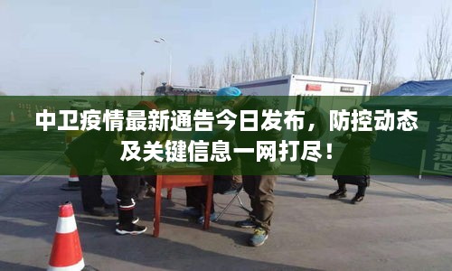 中衛(wèi)疫情最新通告今日發(fā)布，防控動態(tài)及關(guān)鍵信息一網(wǎng)打盡！