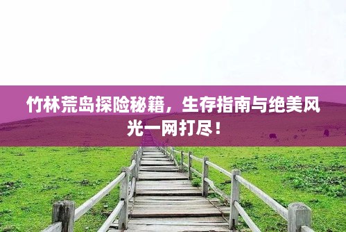 竹林荒島探險秘籍，生存指南與絕美風光一網(wǎng)打盡！