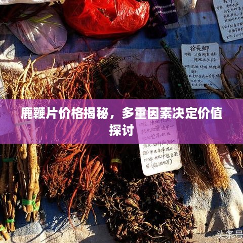 鹿鞭片價格揭秘，多重因素決定價值探討