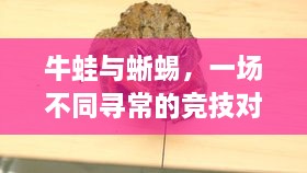 牛蛙與蜥蜴，一場不同尋常的競技對決