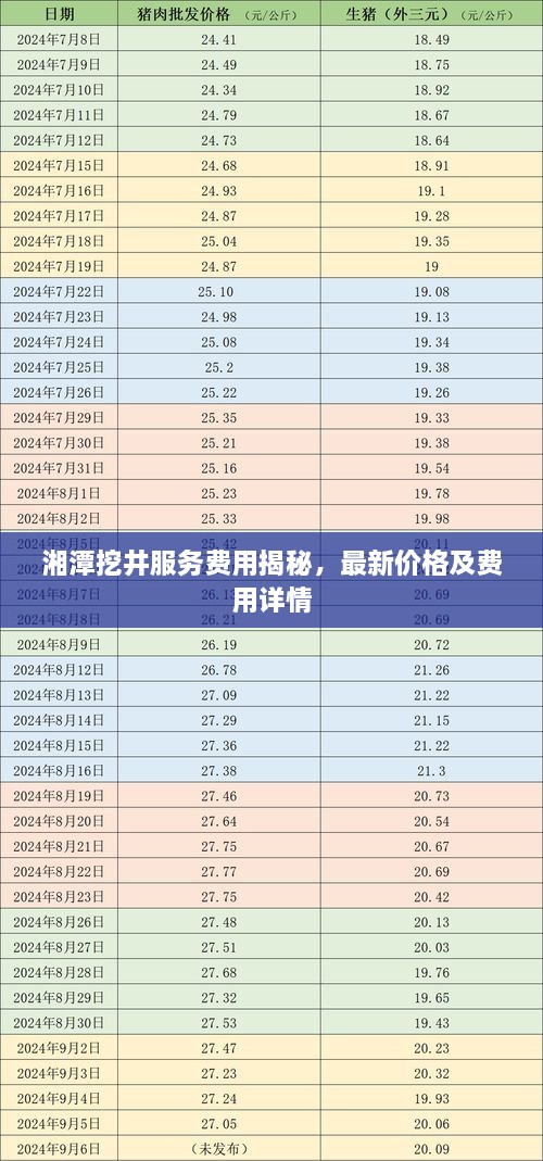 湘潭挖井服務費用揭秘，最新價格及費用詳情