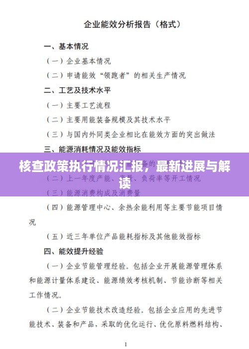 核查政策執(zhí)行情況匯報(bào)，最新進(jìn)展與解讀