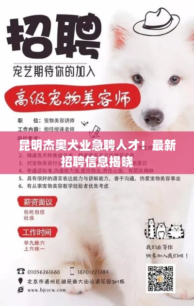 昆明杰奧犬業(yè)急聘人才！最新招聘信息揭曉