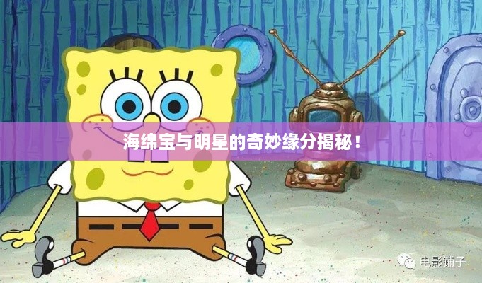 海綿寶與明星的奇妙緣分揭秘！