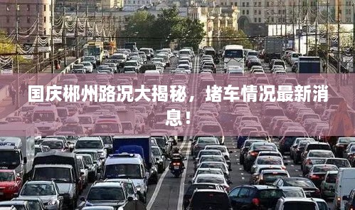 國慶郴州路況大揭秘，堵車情況最新消息！