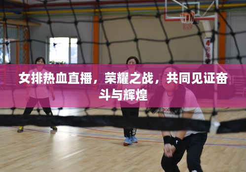 女排熱血直播，榮耀之戰(zhàn)，共同見證奮斗與輝煌