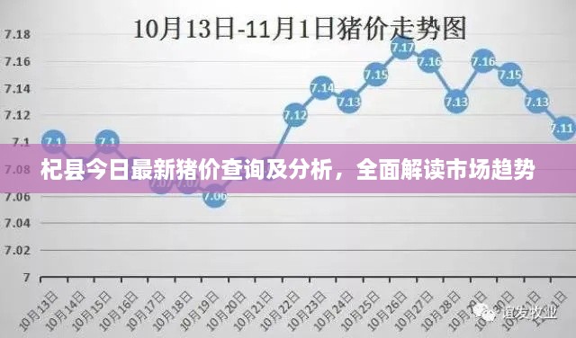 杞縣今日最新豬價查詢及分析，全面解讀市場趨勢