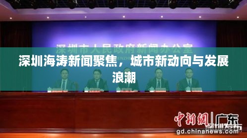 深圳海濤新聞聚焦，城市新動向與發(fā)展浪潮