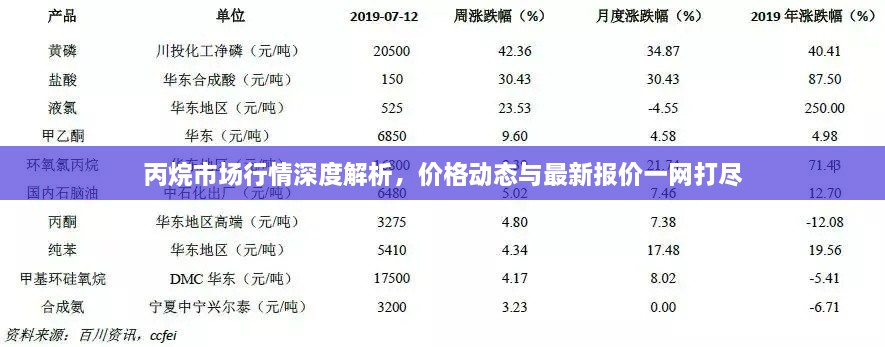 2025年2月20日 第8頁