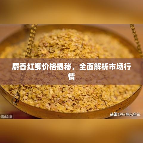 麝香紅鯽價(jià)格揭秘，全面解析市場(chǎng)行情