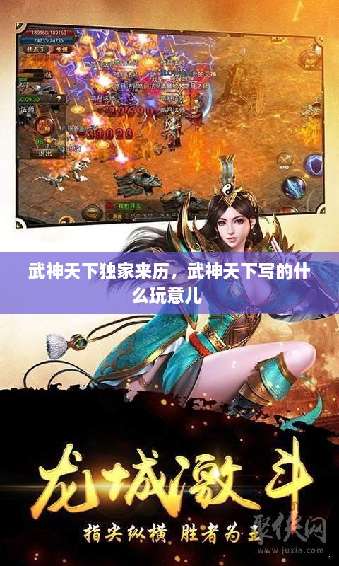 武神天下獨(dú)家來歷，武神天下寫的什么玩意兒 