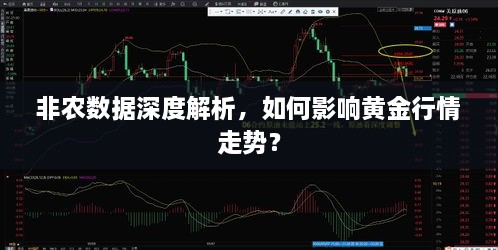 非農(nóng)數(shù)據(jù)深度解析，如何影響黃金行情走勢？