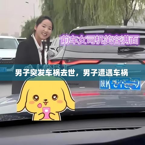 男子突發(fā)車禍去世，男子遭遇車禍 