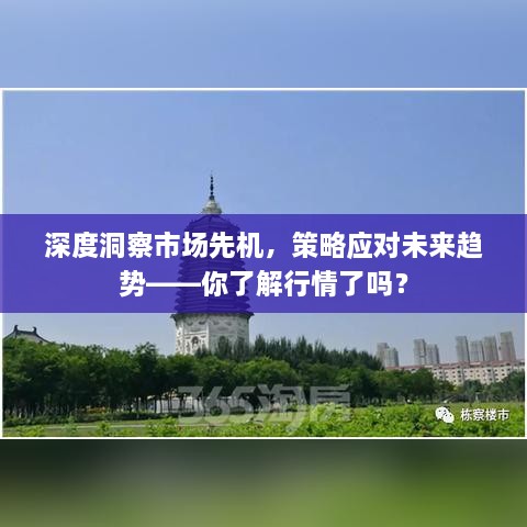 深度洞察市場先機，策略應(yīng)對未來趨勢——你了解行情了嗎？