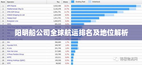 陽明船公司全球航運排名及地位解析