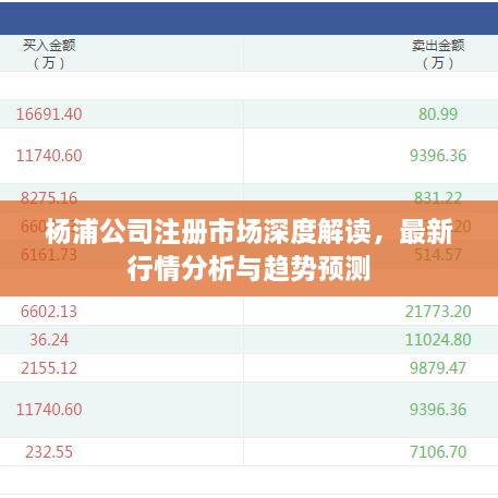 楊浦公司注冊市場深度解讀，最新行情分析與趨勢預(yù)測