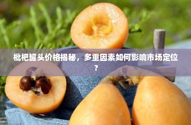 枇杷罐頭價(jià)格揭秘，多重因素如何影響市場(chǎng)定位？