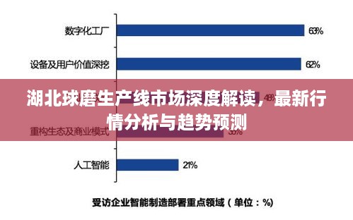 湖北球磨生產線市場深度解讀，最新行情分析與趨勢預測