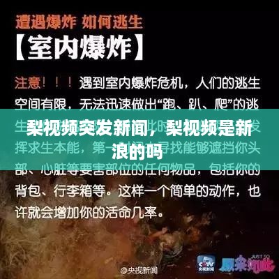 梨視頻突發(fā)新聞，梨視頻是新浪的嗎 