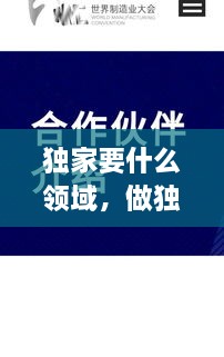 獨家要什么領(lǐng)域，做獨家代理有什么要求 