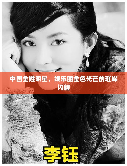 中國金姓明星，娛樂圈金色光芒的璀璨閃耀